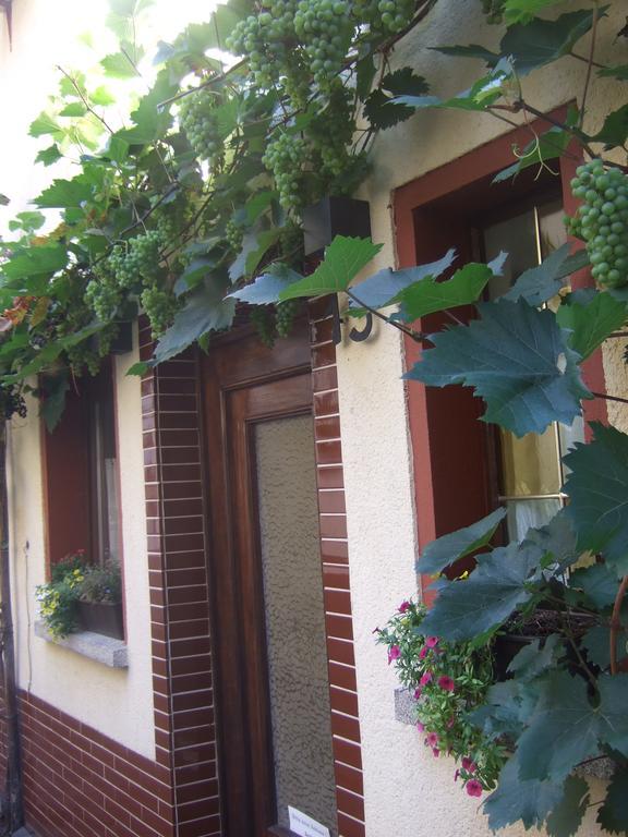 Kleines Winzerhauschen Villa Bremm Exterior photo